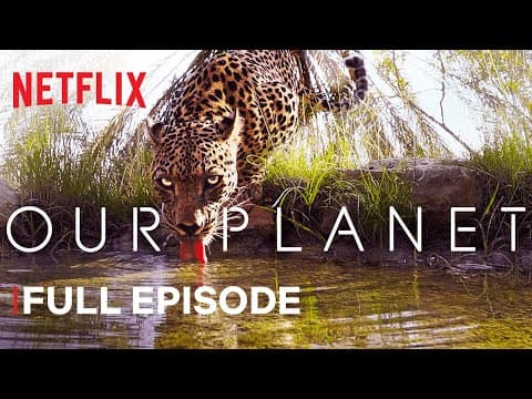 Our Planet | From Deserts to Grasslands | FULL EPISODE | Netflix thumbnail