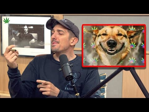 Is College Education a Scam? Insights from the Podcast thumbnail