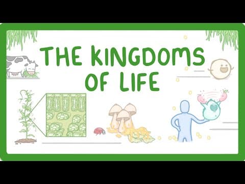 Kingdoms of Life - Animals, Plants, Fungi, Protoctists, Bacteria and Viruses thumbnail