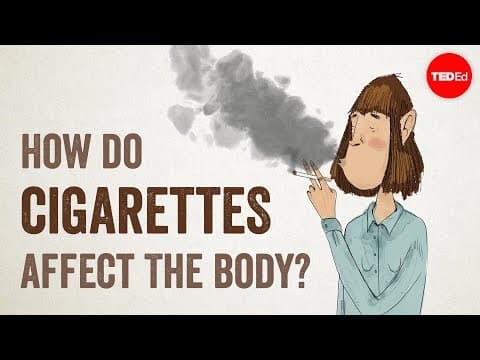 can you smoke cigarettes on youtube How do cigarettes affect the body?