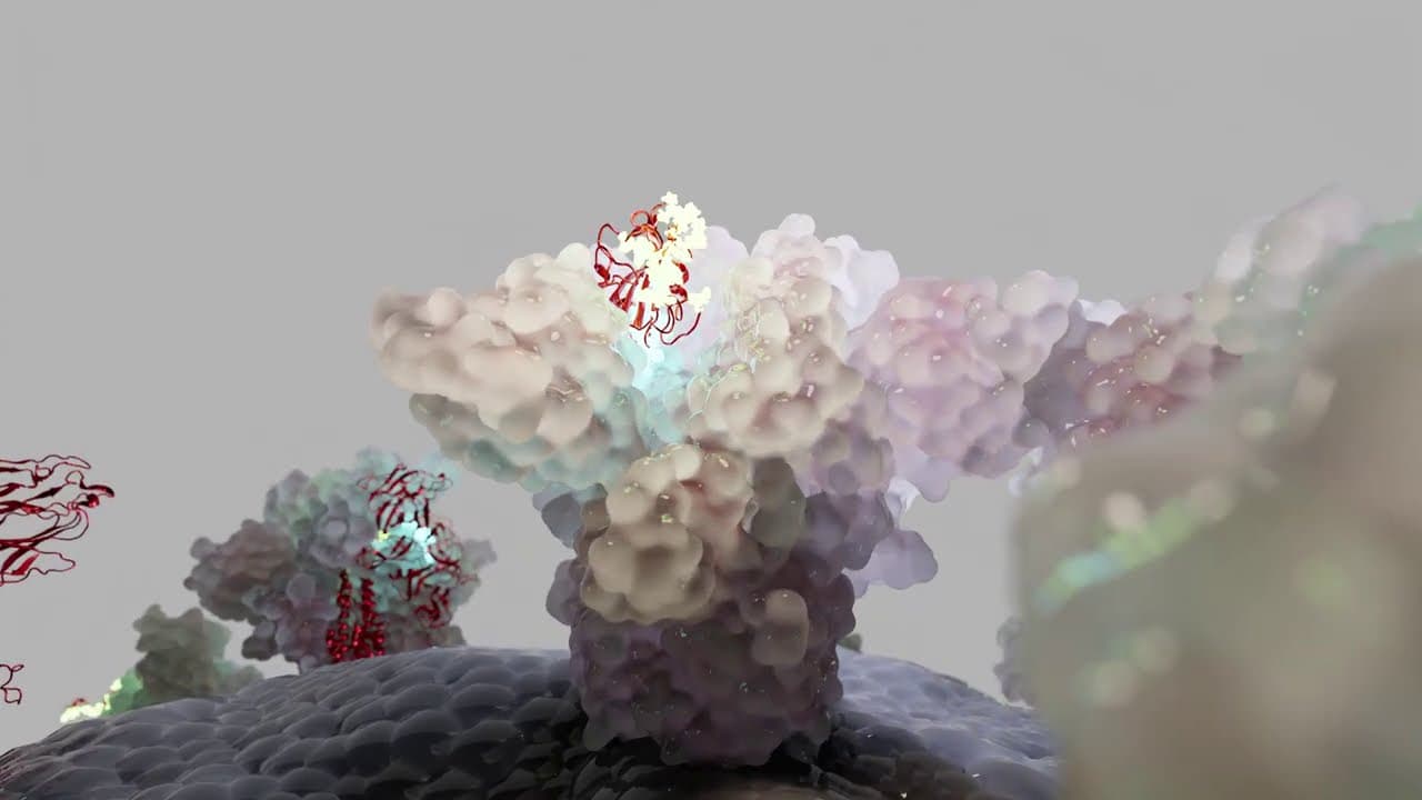 YouTube video player