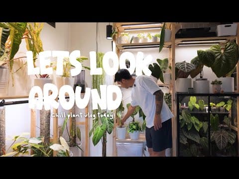 Chill walkthrough vlog 🌿 thumbnail