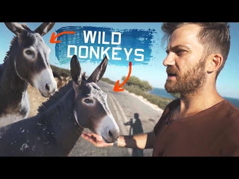 Hunting for the Wild War Donkeys of Cyprus | Cyprus, Part 3 thumbnail
