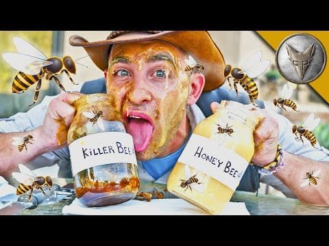 Is Killer Bee Honey Really Dangerous and Better Tasting? thumbnail