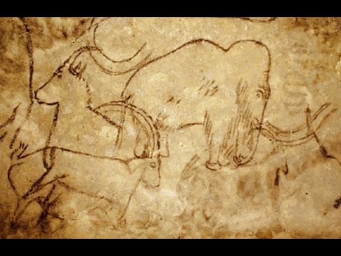 What Is Intentional Extinction and Its Implications? thumbnail