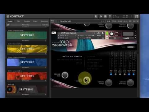 Auddict Master Solo Woodwinds - Clarinet thumbnail