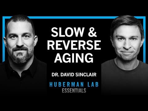 Essentials: The Biology of Slowing & Reversing Aging | Dr. David Sinclair thumbnail