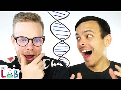 What Can We Learn from Our DNA Test Results? thumbnail
