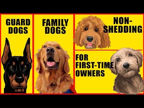 What Dog Breed Fits Your Lifestyle Best? thumbnail
