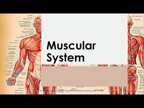 Basic Anatomy & Physiology 07 | MUSCULAR SYSTEM   Reference   Seeley's thumbnail