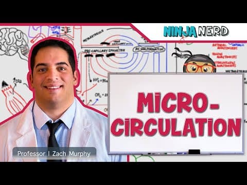 Cardiovascular: How Does Microcirculation Control Tissue Exchange? thumbnail