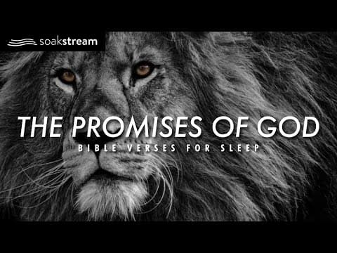 The Promises of God | Bible Verses For Sleep thumbnail