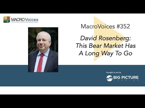 MacroVoices #352 David Rosenberg: This Bear Market Has A Long Way To Go thumbnail