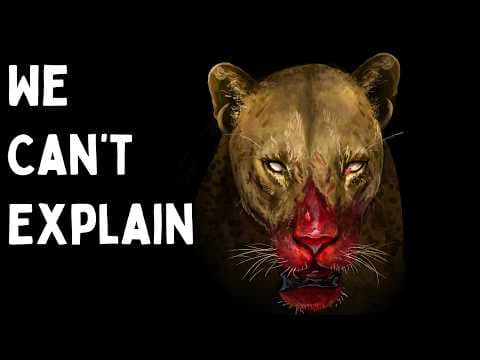 Extinct Animals That Might Still Be Alive thumbnail
