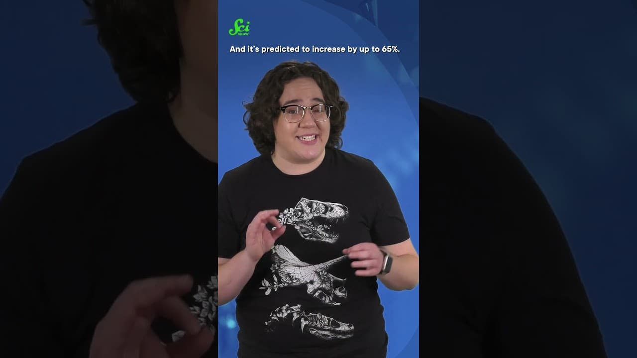 YouTube video player
