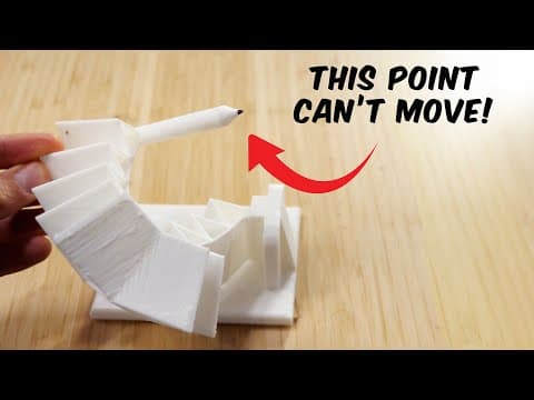 Chickens Are Weirder Than You Thought thumbnail
