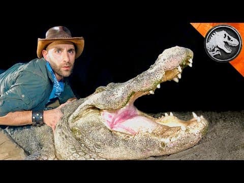 T-REX SIZED GATOR Caught in Florida! thumbnail
