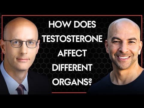 How high and low testosterone affect organs differently | Peter Attia & Ted Schaeffer thumbnail