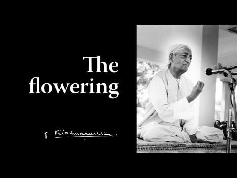 The flowering | Krishnamurti thumbnail