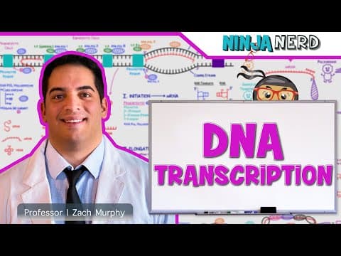 How Does DNA Transcription Produce RNA? thumbnail