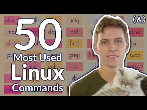 How to Use Popular Linux Terminal Commands thumbnail