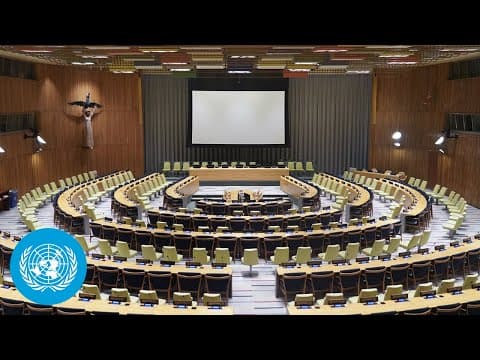 UN Int'l Conference on the Peaceful Settlement of Palestine & the Two-State Solution| United Nations thumbnail