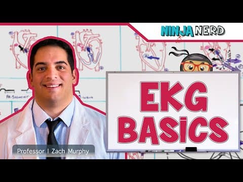 How does the ECG basics explain the P wave to T wave process? thumbnail