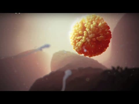 Fertilization thumbnail