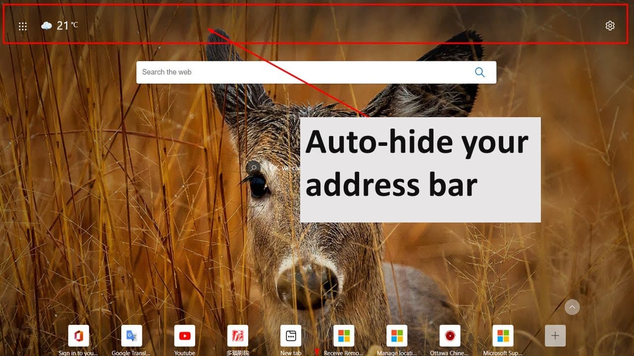 YouTube video player