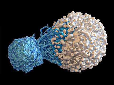 Top 15 STRANGEST Looking Cells thumbnail