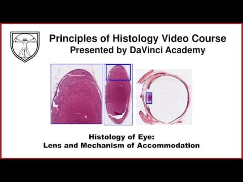 Histology of Eye: Lens, and Mechanism of Accommodation [Special Senses Histology Part 2 of 4] thumbnail