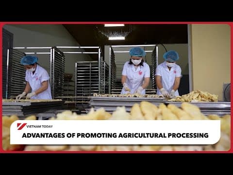 Advantages of promoting agricultural processing | Vietnam Today thumbnail