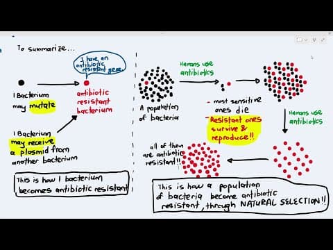 10-8 Antibiotic Resistance (Cambridge AS A Level Biology, 9700) thumbnail