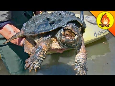 What Inspired Coyote Peterson to Love Nature and Animals? thumbnail