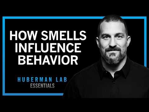 How Smell, Taste & Pheromones Shape Behavior | Huberman Lab Essentials thumbnail
