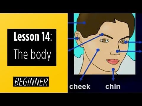 Beginner Levels - Lesson 14: The Body thumbnail
