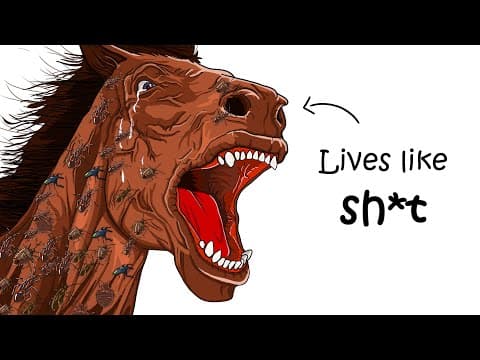 Why It Sucks to Be Born as a Wild Horse thumbnail