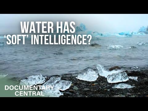 H2O: The Intelligence of Water | The Role of Water in Every Day Life | Documentary Central thumbnail
