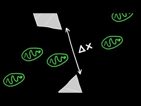 What Is Heisenberg's Uncertainty Principle and Its Impact? thumbnail