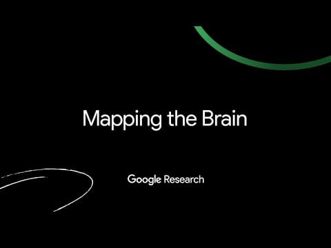 Research@ NYC: Mapping the Brain thumbnail