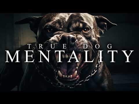 How to Build a Relentless Dog Mentality thumbnail