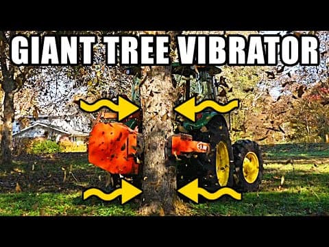 How to Harvest Pecans Using Mechanical Shakers thumbnail