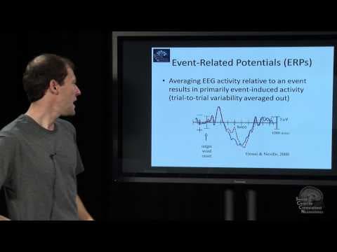 Lecture 2.3 Temporal Characteristics thumbnail