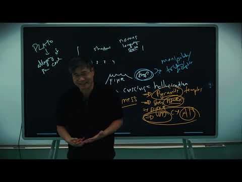 Game Theory #13: How Do Global Powers Manipulate Reality in Epstein’s World? thumbnail