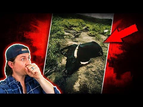 What happened in the 1986 West Africa village death event thumbnail