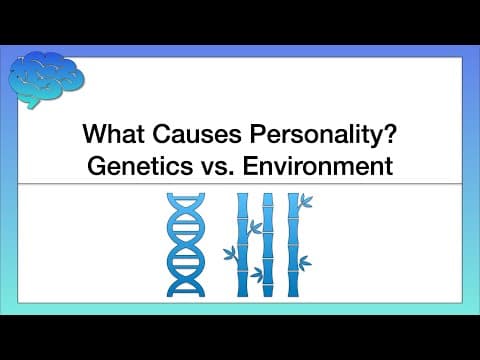 What Causes our Personality? Genetics vs. Environment thumbnail
