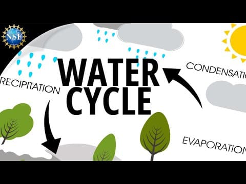Water Cycle | How the Hydrologic Cycle Works thumbnail