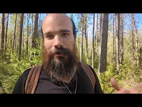 YOU are the Dead Internet. thumbnail