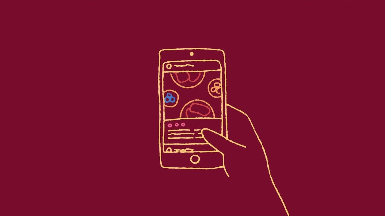 YouTube video player