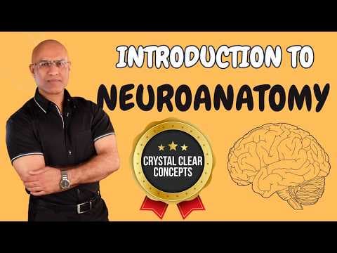 Intro to Neuroanatomy | Neurophysiology | Neuroscience | Central Nervous System thumbnail